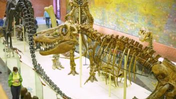 Навигатор. Новости. Выпуск 825