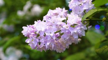 Навигатор. Новости. Выпуск 835