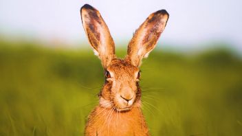 Навигатор. Новости. Выпуск 838