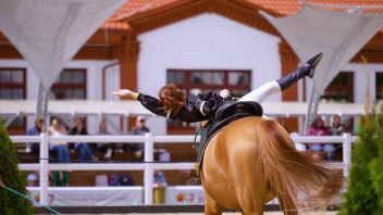 Навигатор. Новости. Выпуск 891