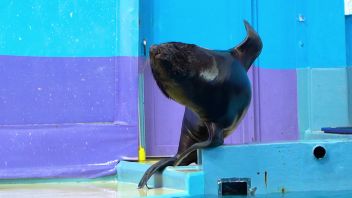 Навигатор. Новости. Выпуск 895