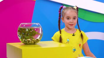 Навигатор. Новости. Выпуск 898