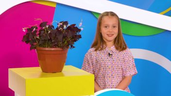 Навигатор. Новости. Выпуск 903