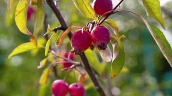 Навигатор. Новости. Выпуск 912