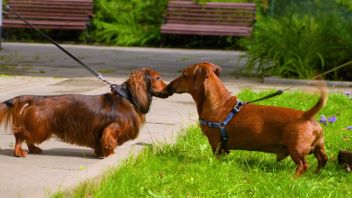 Навигатор. Новости. Выпуск 914