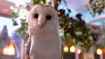 Навигатор. Новости. Выпуск 916