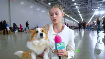 Навигатор. Новости. Выпуск 1128