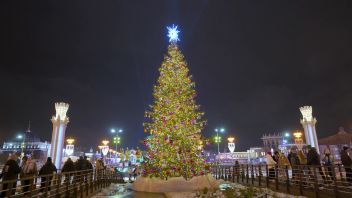 Навигатор. Новости. Выпуск 1135