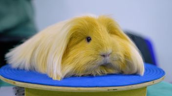 Навигатор. Новости. Выпуск 1172