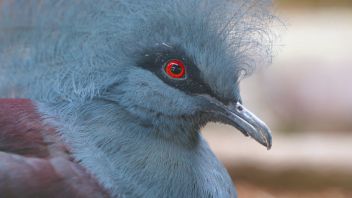 Навигатор. Новости. Выпуск 1194