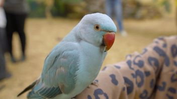 Навигатор. Новости. Выпуск 1197