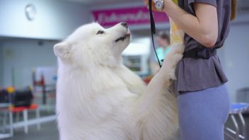 Навигатор. Новости. Выпуск 1241