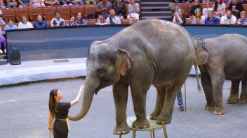 Навигатор. Новости. Выпуск 1244