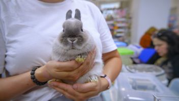 Навигатор. Новости. Выпуск 1256