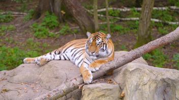 Навигатор. Новости. Выпуск 1259