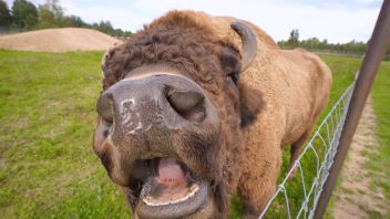 Навигатор. Новости. Выпуск 1266