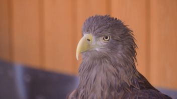 Навигатор. Новости. Выпуск 1270