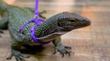 Навигатор. Новости. Выпуск 1280