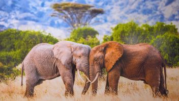 Навигатор. Новости. Выпуск 1287