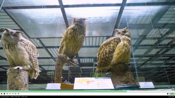 Навигатор. Новости. Выпуск 1289