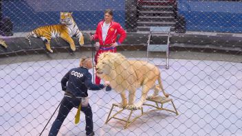 Навигатор. Новости. Выпуск 1291