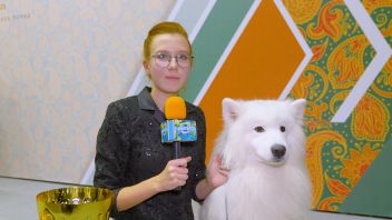 Навигатор. Новости. Выпуск 1297