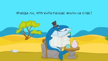 Всё, что вы хотели знать! Выпуск 28