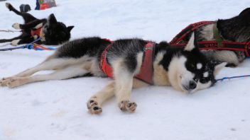 Навигатор. Новости. Выпуск 1338