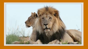 У меня лапки. Сезон 3. Выпуск 20