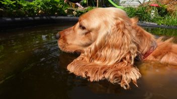 У меня лапки. Сезон 3. Выпуск 22