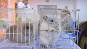 Навигатор. Новости. Выпуск 1344