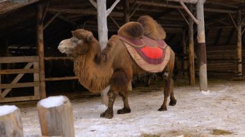 Навигатор. Новости. Выпуск 1345