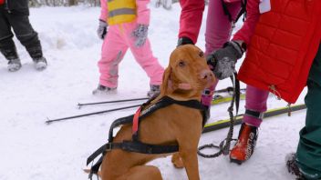 Навигатор. Новости. Выпуск 1346