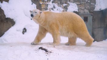 Навигатор. Новости. Выпуск 1349