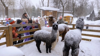 Навигатор. Новости. Выпуск 1350