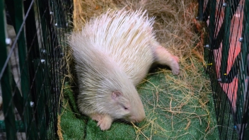 Навигатор. Новости. Выпуск 1358