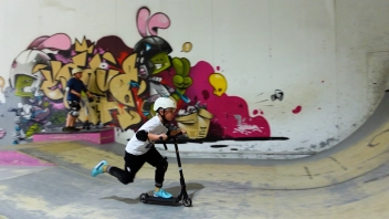 Всё, что вы хотели знать! Сезон 12. Выпуск 8