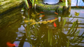 Навигатор. Новости. Выпуск 1370