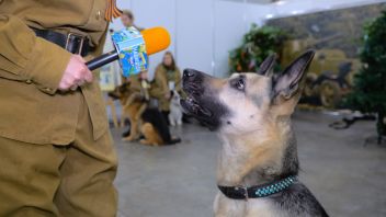 Навигатор. Новости. Выпуск 1375