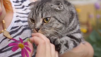 У меня лапки. Сезон 4. Выпуск 13