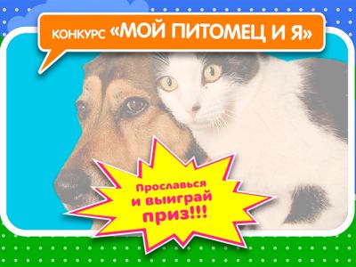 Телеканал «Карусель» объявляет конкурс «Мой питомец и я» (завершен)