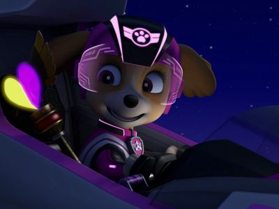 Мультфильм «Щенячий патруль: Улётная помощь»