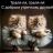 Виктория Сергеевна Васильева