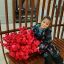 Полина Всеволодовна Ромчук