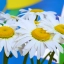Навигатор. Новости. Выпуск 1403