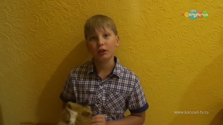 Святослав14398765