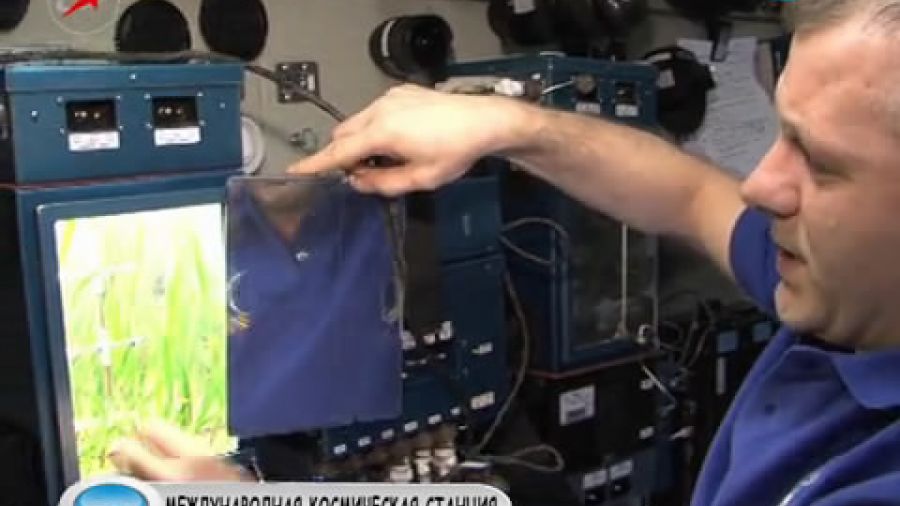 Можно ли брать космонавтам с собой на орбиту домашних питомцев?