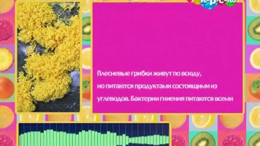 НЕОкухня. Сезон 2. Выпуск 39. Дрожжи