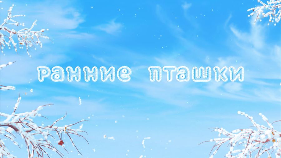 Ранние пташки