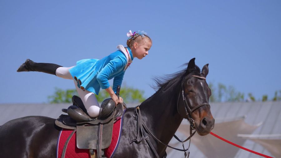 Навигатор. Новости. Выпуск 1056